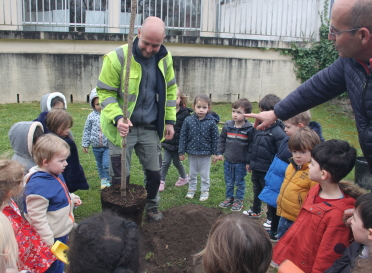 Arbre et enfants