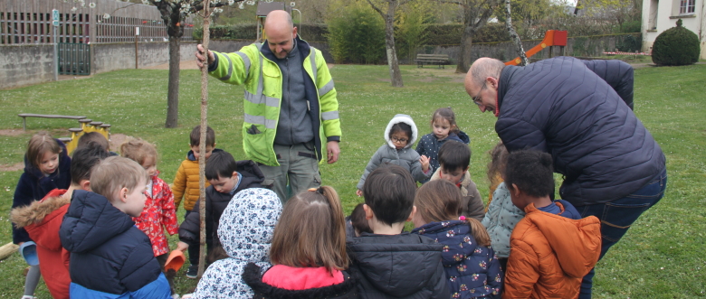 L'arbre et le directeur de l'école