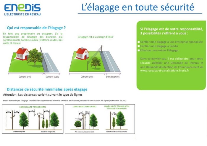 Elagage Procédure